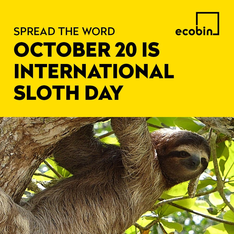 International Sloth Day