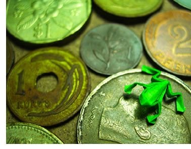 sustainability audit