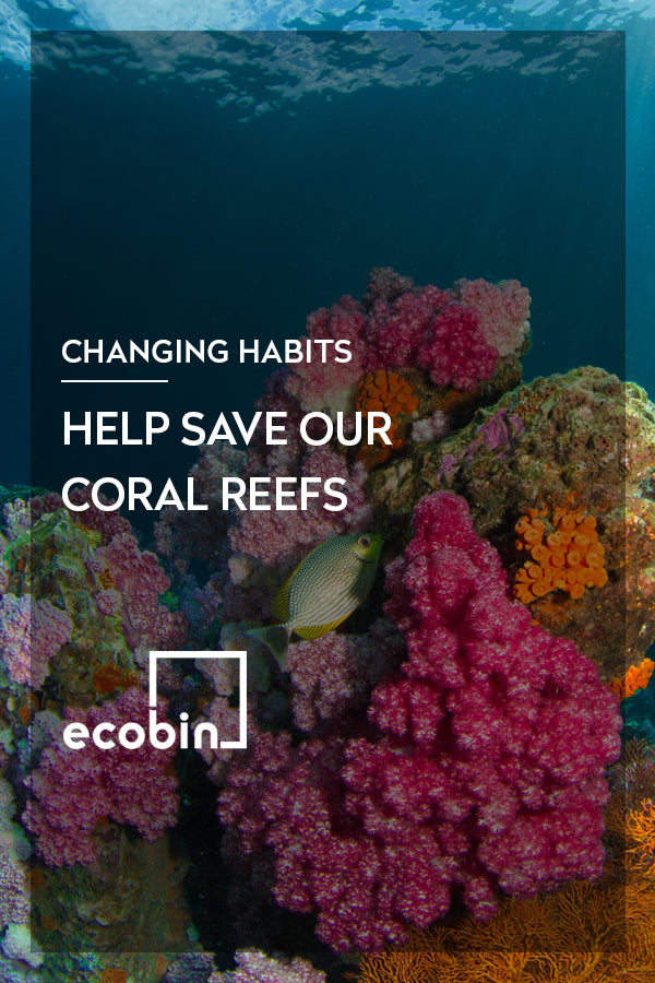 Help save our Coral Reefs