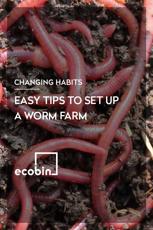Easy Tips to set up a Worm Farm
