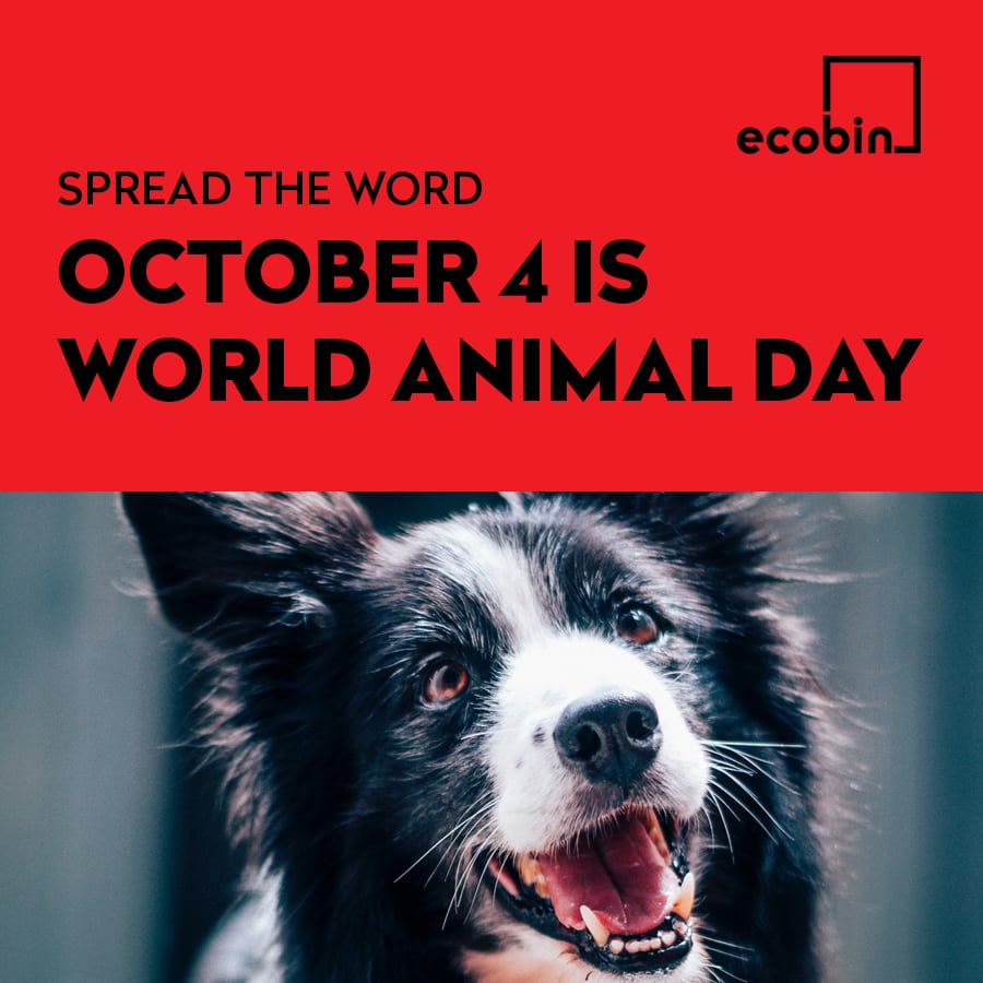 World Animal Day