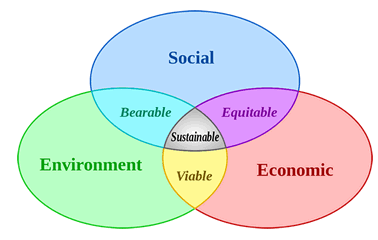 sustainability program