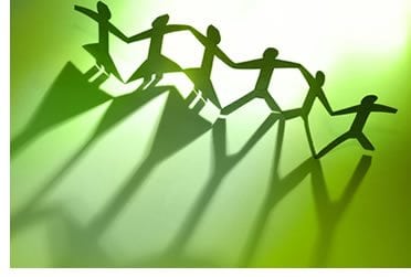 sustainability team
