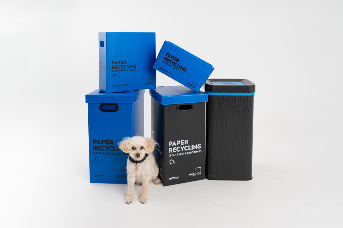 Blue / Paper & Cardboard Bins
