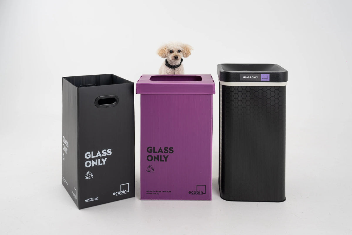 Purple / Glass Bins